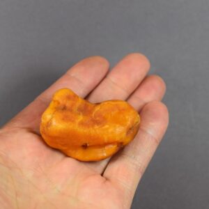 Natūralus Baltijos gintaras – neapdirbtas kolekcinis gabalas - Image 4